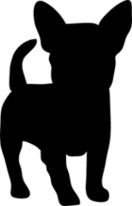 Chihuahua(2)