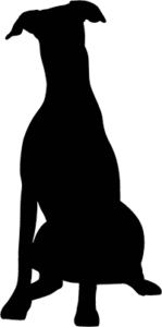 Doberman(2)