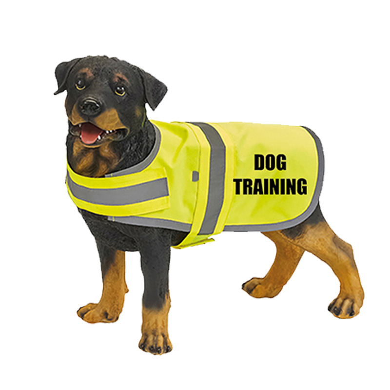 Hundewarnweste – Dog Training