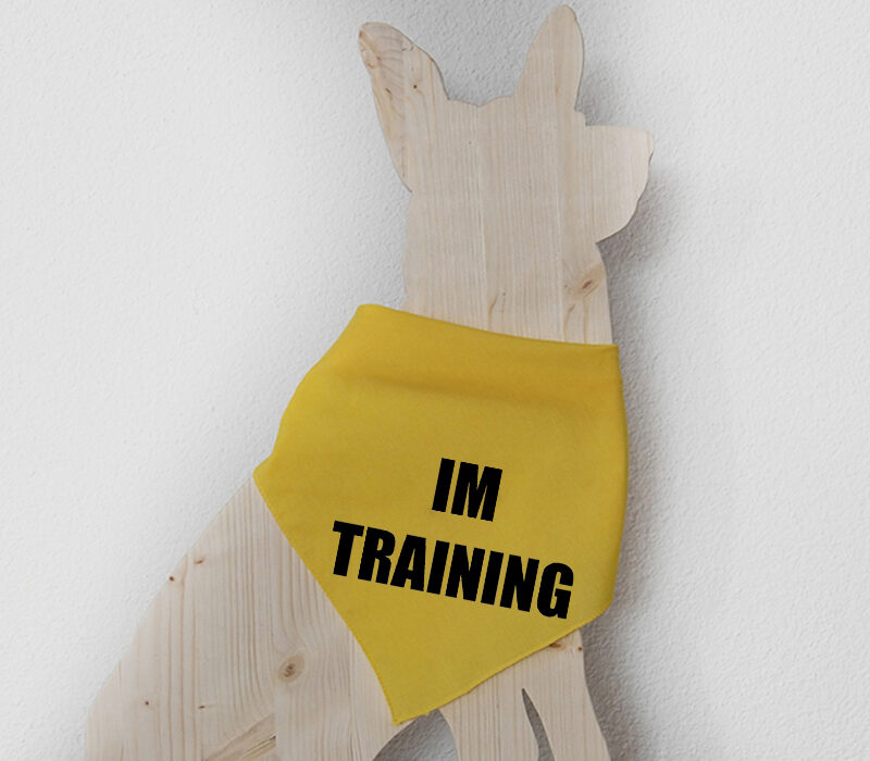Bandana zum knüpfen – Im Training (1)