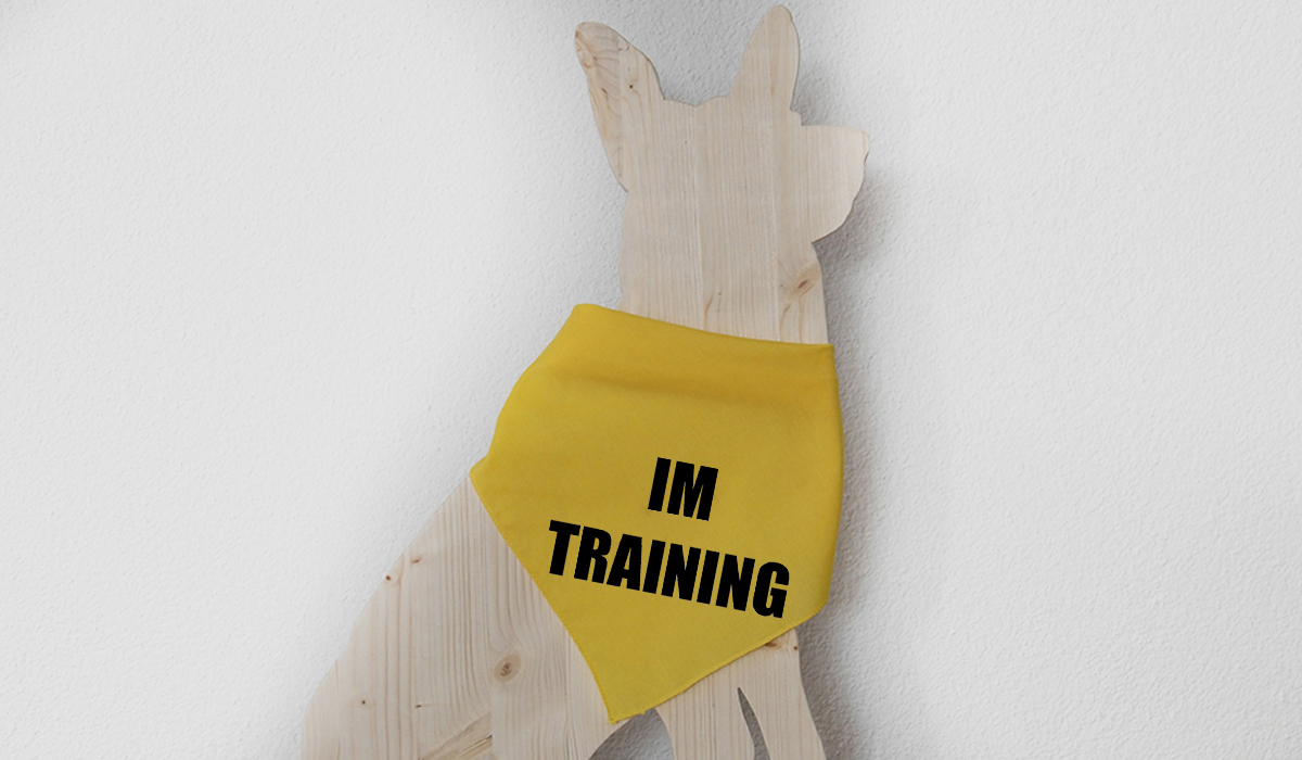 Bandana zum knüpfen - Im Training (1)