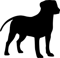 Entlebucher Sennenhund(2)