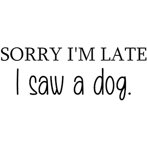 sorry-im-late