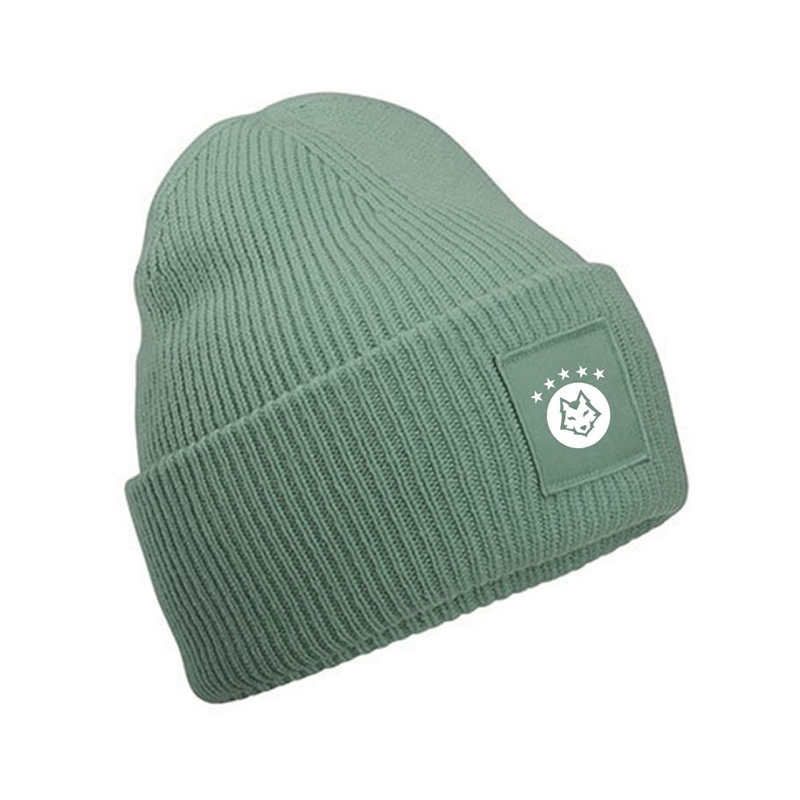 eDOGcation Beanie